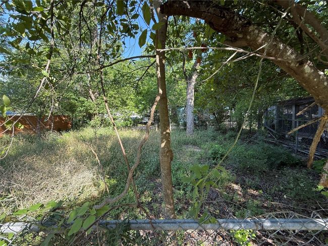 View of undeveloped land | Image 10