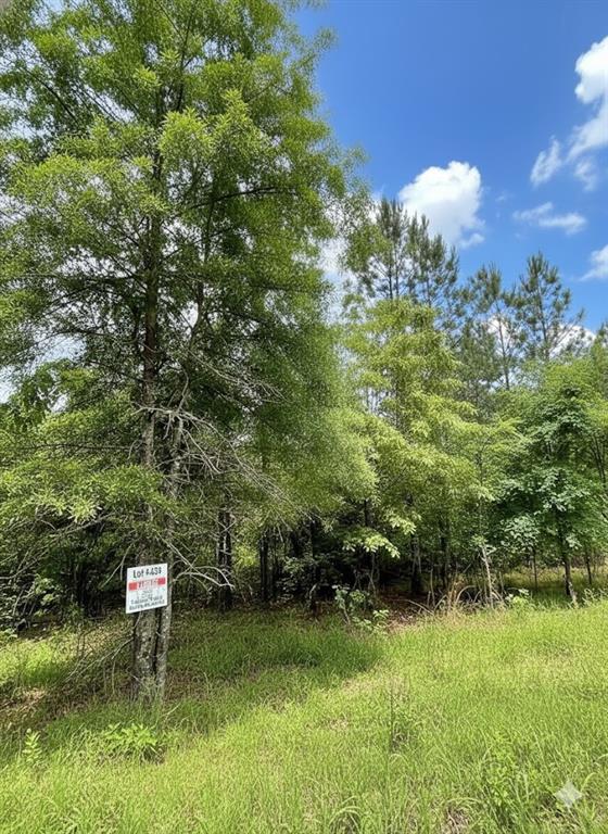 Land in Broken Bow 2