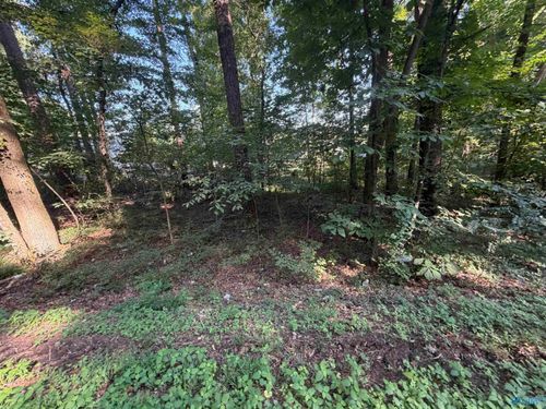 Lot 38 Creek Cir, Guntersville, AL, 35976 | Card Image