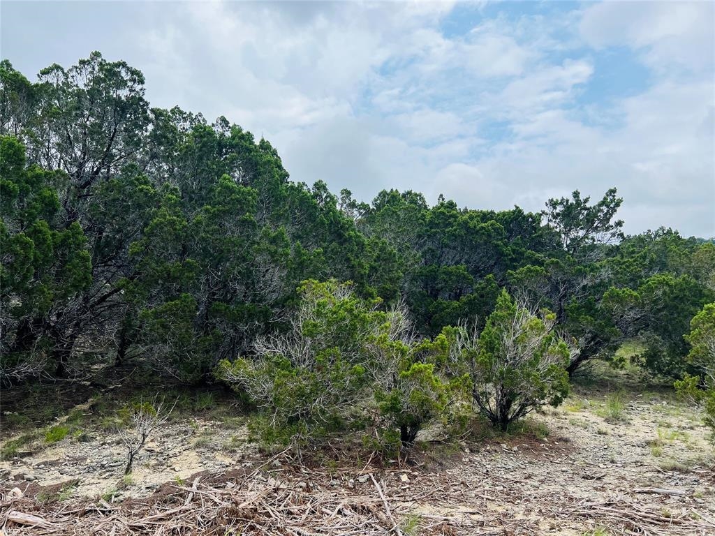 Land in Lago Vista 3