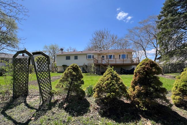 These bushes are where the property line ends | Image 29