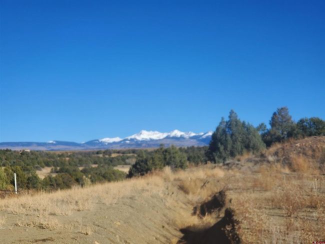 13989 Road 35.6, Home with 0 bedrooms, 0 bathrooms and null parking in Mancos CO | Image 22