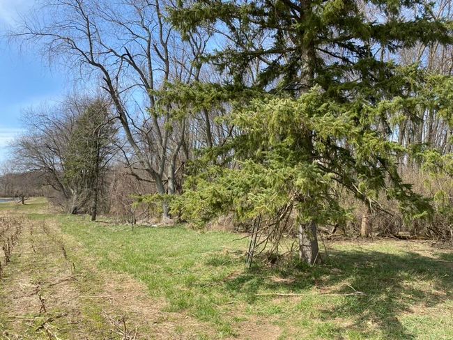 4500 S 42 Nd St, Home with 0 bedrooms, 0 bathrooms and null parking in Climax MI | Image 11