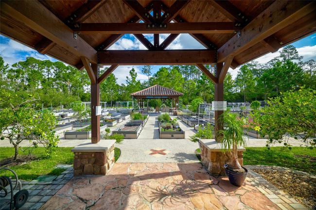 Resident-only community garden—just one of the many lifestyle amenities in Del Webb | Image 31