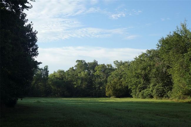 Pasture view | Image 8