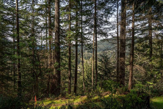 912 Taylor Rd, House other with 3 bedrooms, 1 bathrooms and null parking in Bowen Island BC | Image 22