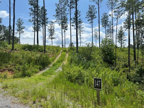 Lot 147 Creekside Cabin Trl, Talking Rock, GA, 30175 | Card Image