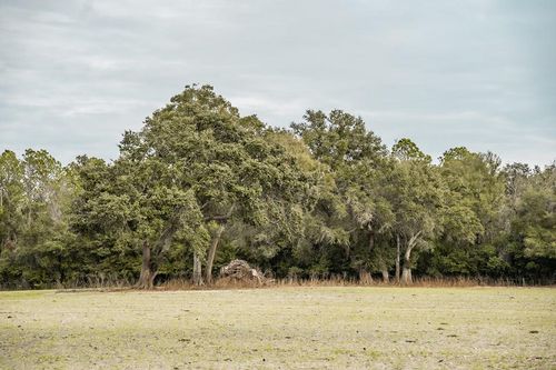 Lot 5 Country Hall Road, Chiefland, FL, 32626 | Card Image