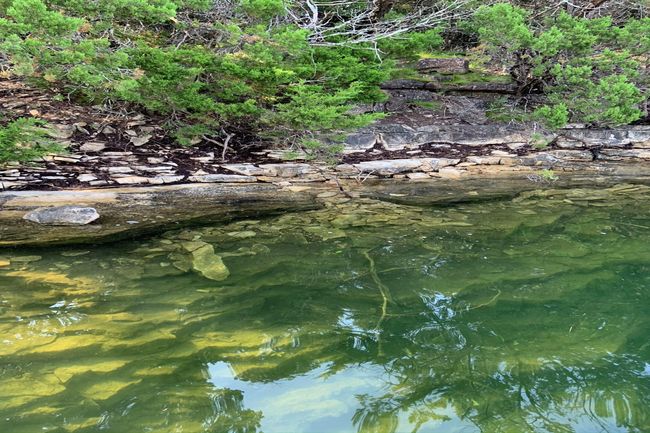 Clear waters along the Shoreline of Bull | Image 16