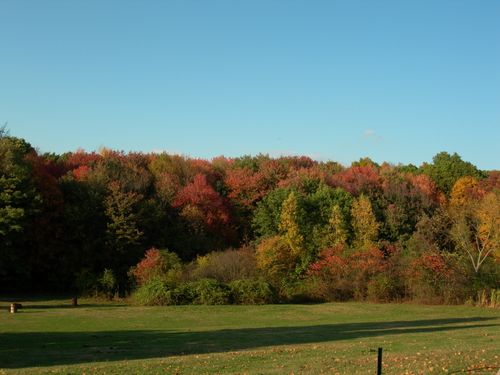 121 Scully Rd, Somers, CT, 06071-1720 | Card Image