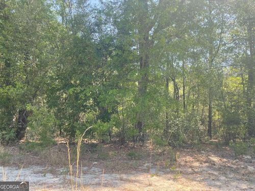 LOT 7 Riverbank Rd, Reidsville, GA, 30453-7024 | Card Image