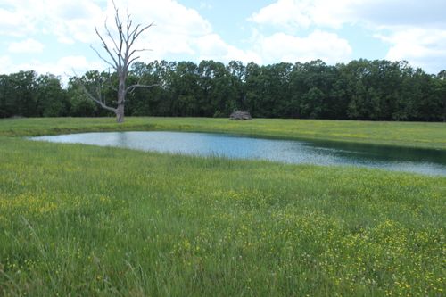 000 W Hwy, Thayer, MO, 65791 | Card Image