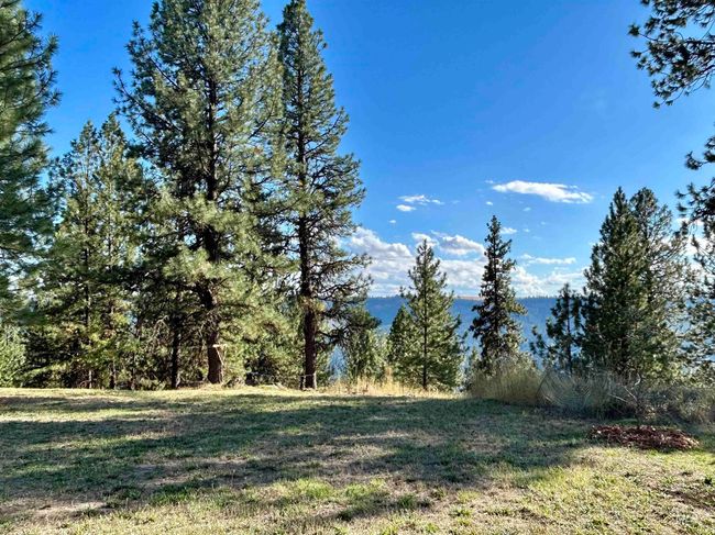 1510 Summitview Dr, House other with 2 bedrooms, 1 bathrooms and null parking in Orofino ID | Image 14