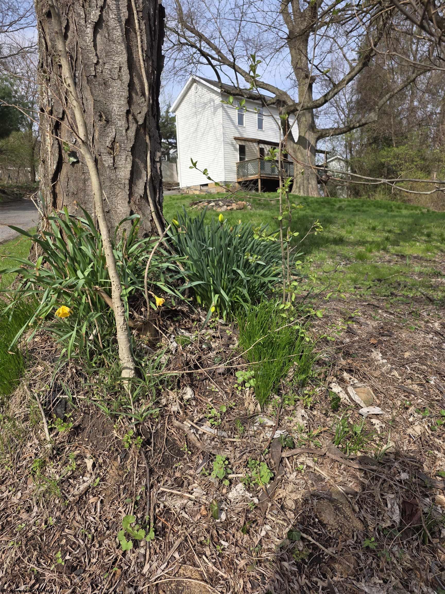 Residential in Morgantown 2