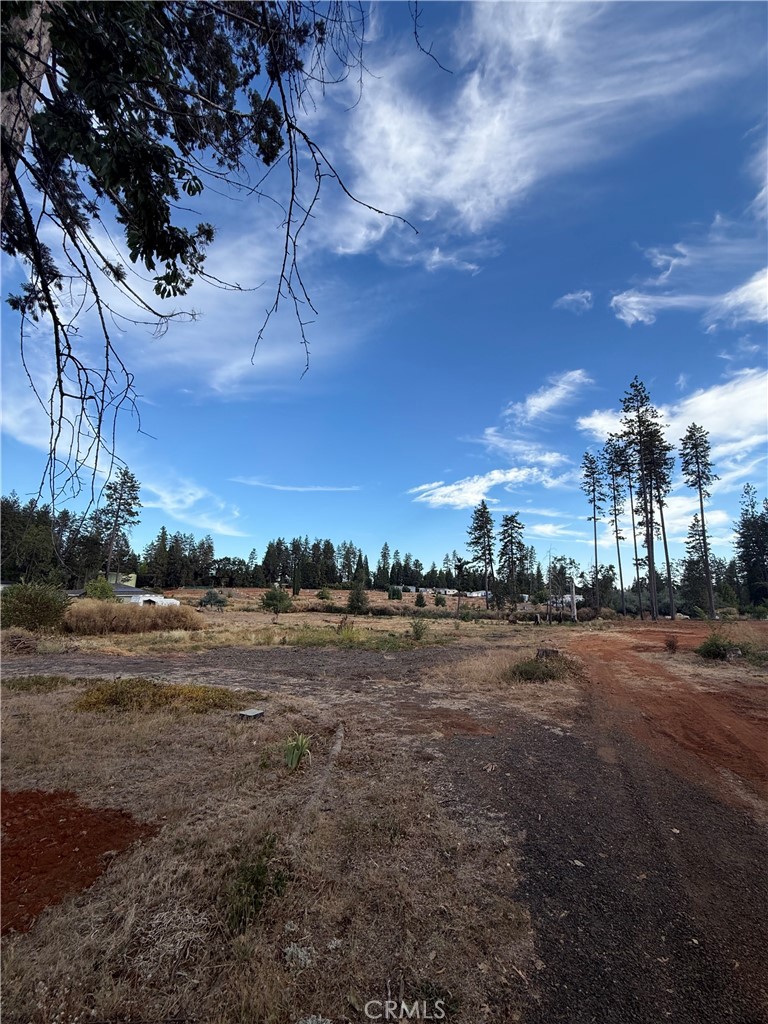 Land in Paradise 2