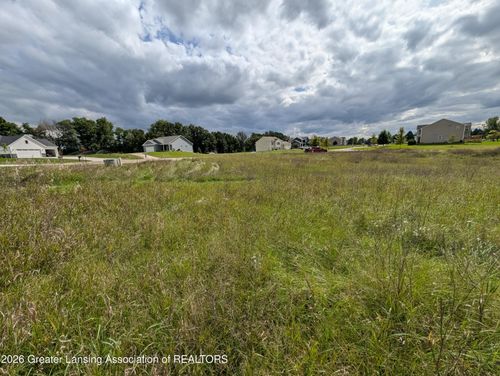0 Mountain Mint Cir, Portland, MI, 48875 | Card Image