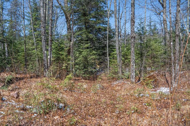 160-acre Pleasant Lake Rd, Home with 0 bedrooms, 0 bathrooms and null parking in Upson WI | Image 39