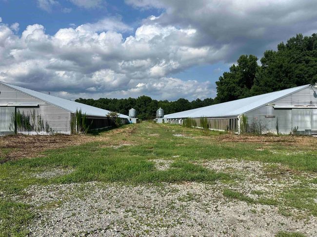 View of yard with an outbuilding | Image 31