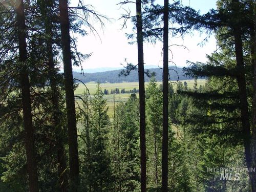 L1 B2 San Ignacio Way, Cascade, ID, 83611 | Card Image
