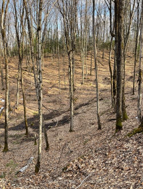 0 Rallison Lane, Faraday, ON, K0L2L0 | Card Image