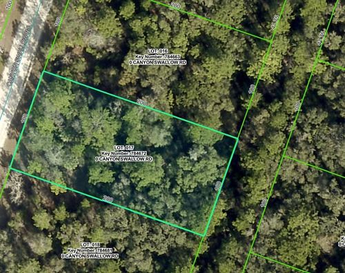 Lot 17 Canyon Swallow Road, WEEKI WACHEE, FL, 34614 | Card Image