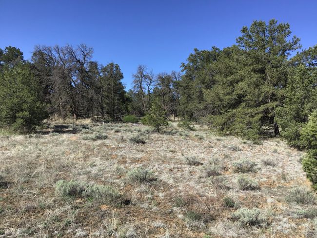 Lot 7 Red Fox Road, Home with 0 bedrooms, 0 bathrooms and null parking in Ramah NM | Image 6