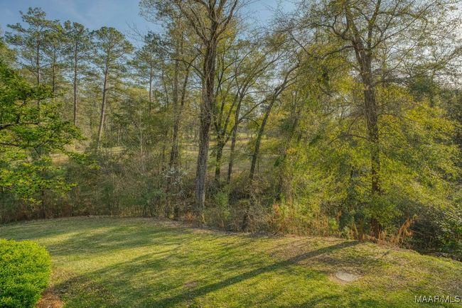 Just a view from the front porch down toward Harrogate Springs Creek and across to the open meadow that borders Harrogate Springs Road. There have been many school bonfires and Easter egg hunts in that meadow! | Image 74