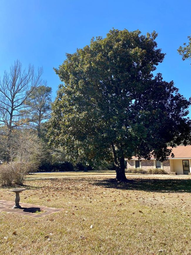 174 Lake David Drive, House other with 3 bedrooms, 2 bathrooms and 2 parking in Picayune MS | Image 17