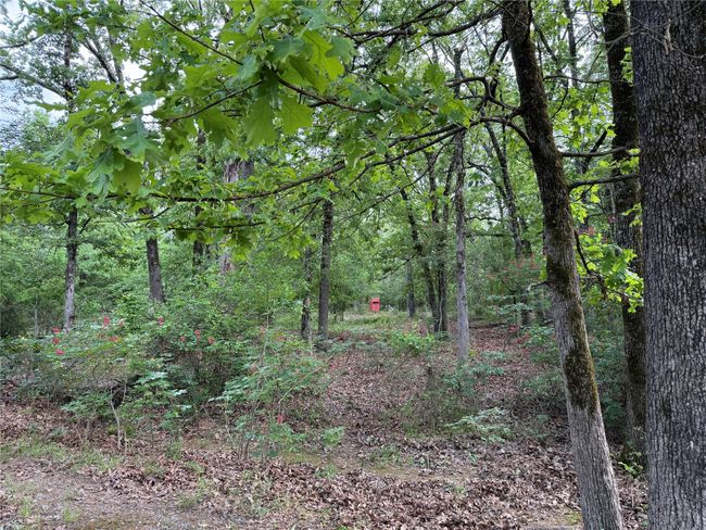 72 N Farm Road 900 N, Home with 0 bedrooms, 0 bathrooms and null parking in Saltillo TX | Image 40