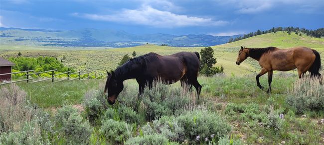 456 Boulder Frontage Rd, House other with 2 bedrooms, 2 bathrooms and null parking in Boulder MT | Image 72