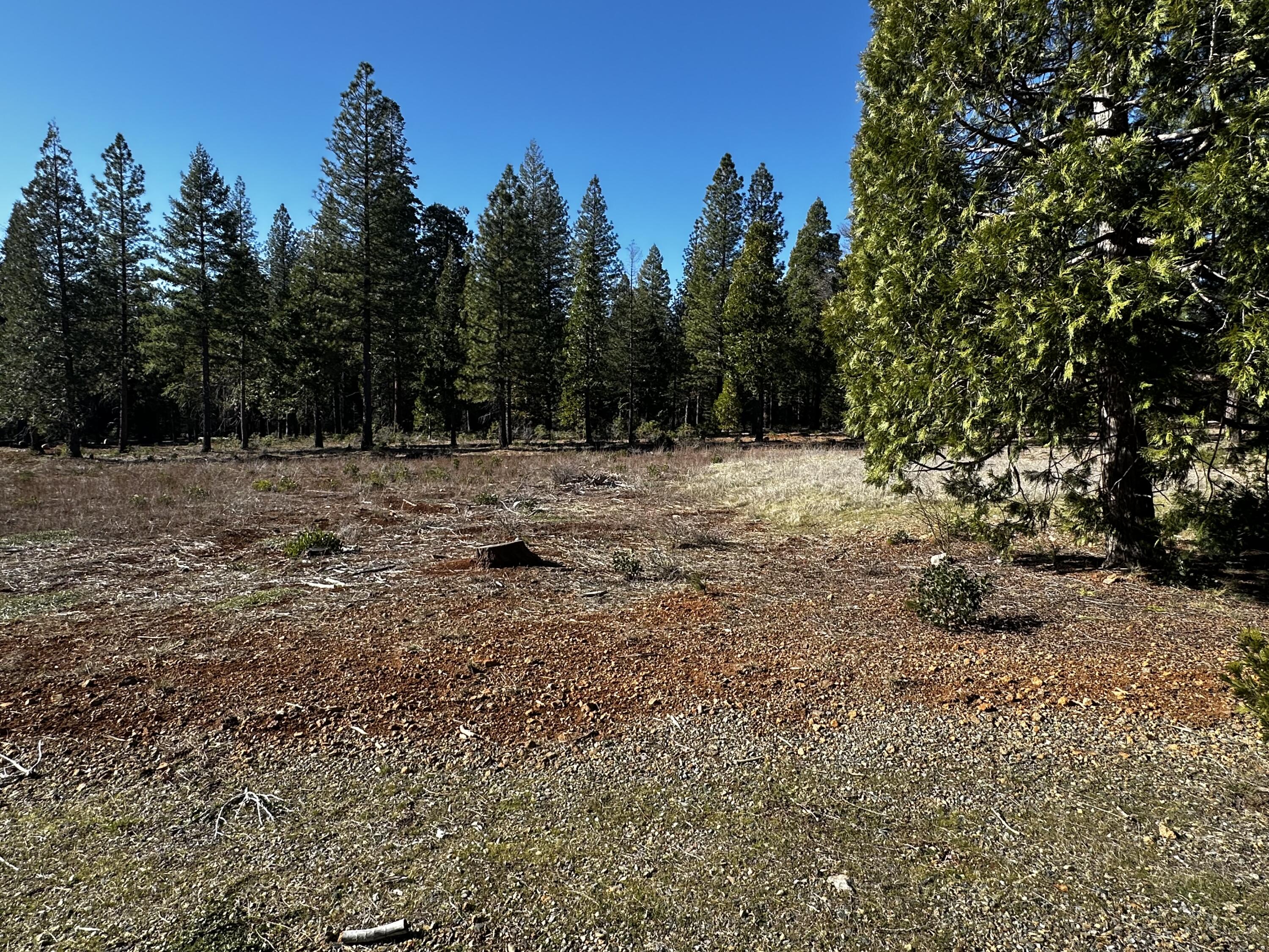Land in Shingletown 4