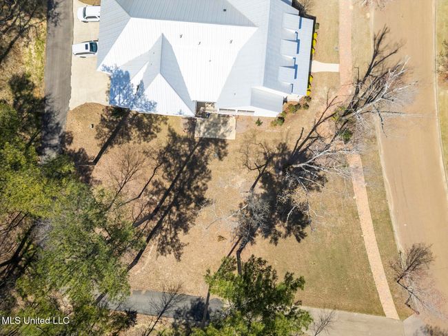 Lost Rabbit Lot-3 | Image 8
