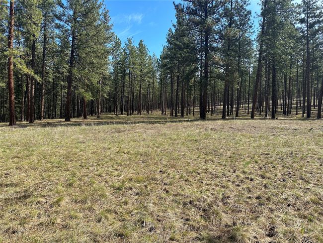 31760 Old Highway 10 W, Home with 0 bedrooms, 0 bathrooms and null parking in Alberton MT | Image 4