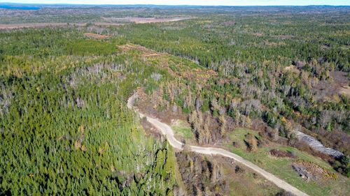 3 Holmes Bay Farm, Whiting, ME, 04691 | Card Image