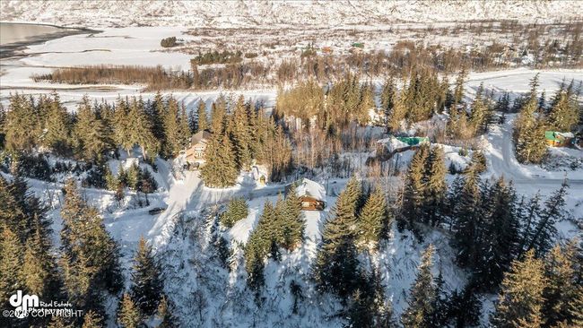 131 Aerial | Image 132
