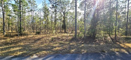 Lot 13 Nw Water Oak Avenue, DUNNELLON, FL, 34431 | Card Image