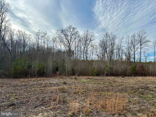Lot 2 Belsches Rd, Bumpass, VA, 23024-4111 | Card Image