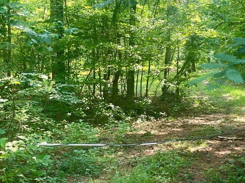 11810 Co Rd 9, West Blocton, AL, 35184 | Card Image