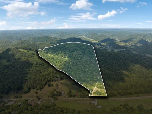 167 Green Hill Rd, Pleasant Shade, TN, 37145-3342 | Card Image
