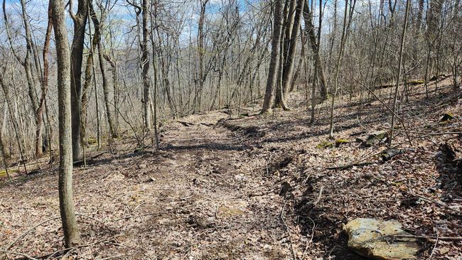 TRACT-1-PIKE-LAKE-GETAWA - 0 Pike Lake Rd, Home with 0 bedrooms, 0 bathrooms and null parking in Bainbridge OH | Image 43