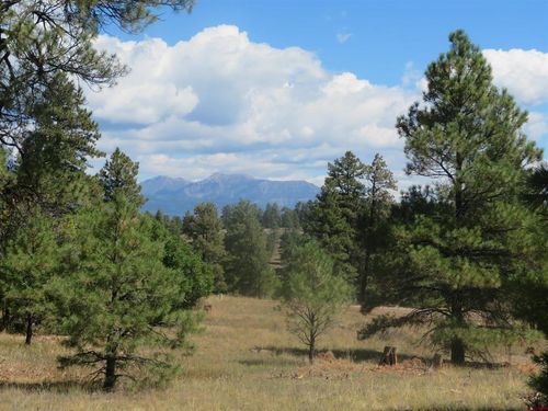 100 N Pinescent Ct, Pagosa Springs, CO, 81147-9946 | Card Image