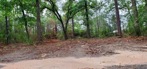 TBD Cr 336, Jasper, TX, 75951 | Card Image