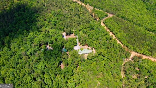 511 Bo Cannington Rd, House other with 4 bedrooms, 4 bathrooms and null parking in Morris GA | Image 62