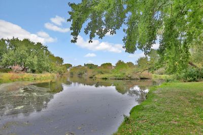 Beautiful Pond Views | Image 2