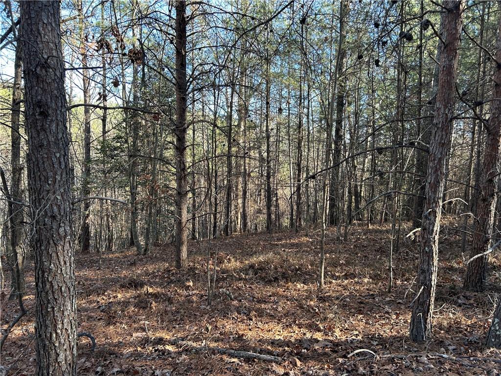 Land in Demorest 3