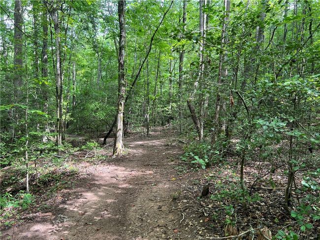 0 N Old Pendleton Rd, Home with 0 bedrooms, 0 bathrooms and null parking in Easley SC | Image 14