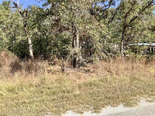 Lot 310&311 Deer Run, Smithville, TX, 78957 | Card Image