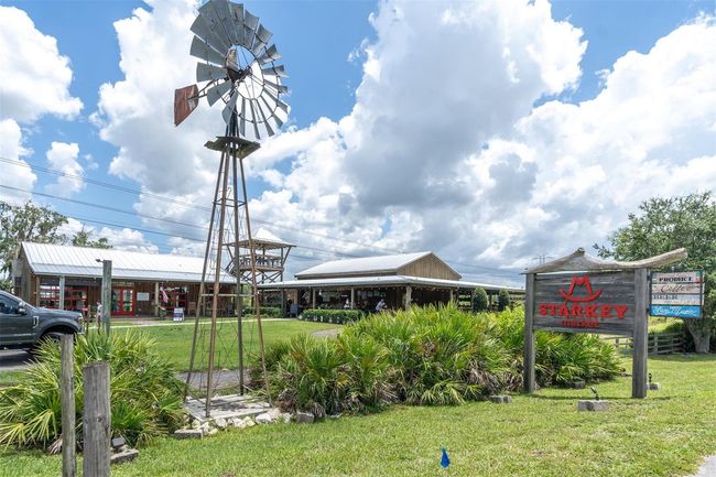 3057 Riders Pass, House other with 4 bedrooms, 3 bathrooms and null parking in ODESSA FL | Image 43