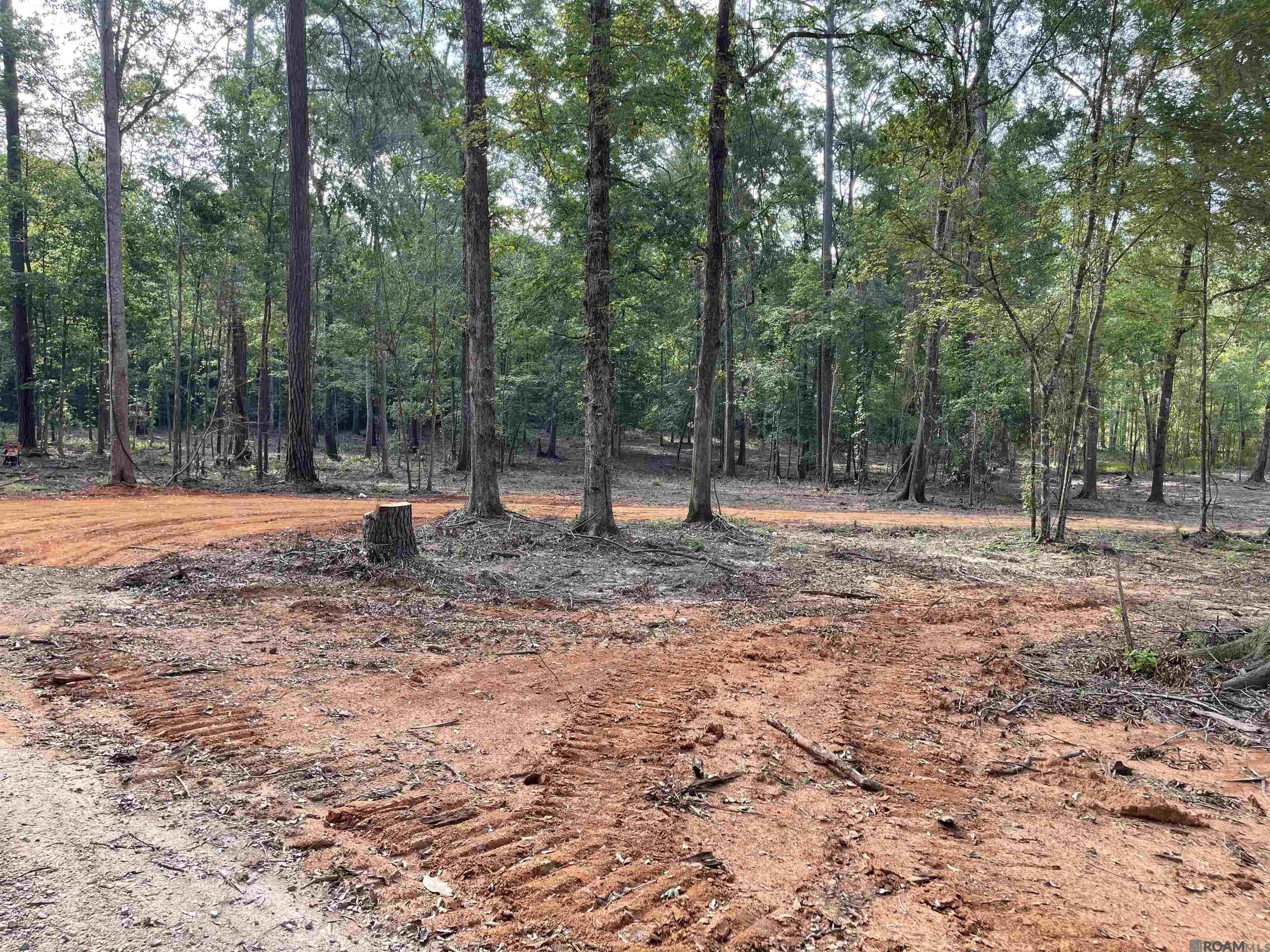 Land in Clinton 4