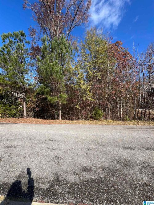 17-119 Walking Horse Trce, ALABASTER, AL, 35007-8577 | Card Image